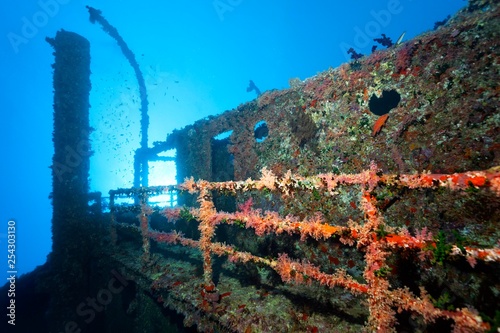 Overgrown shipwreck of the Numidia, sunken 20.07.1901, Red Sea, Big Brother Island, Brother Islands, El Alkhawein, Egypt, Africa photo