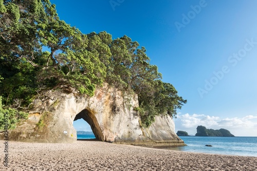 Bay Cathedral Cove with Natural Arch, Mercury Bay, Coromandel Peninsula, North Island, New Zealand, Oceania
