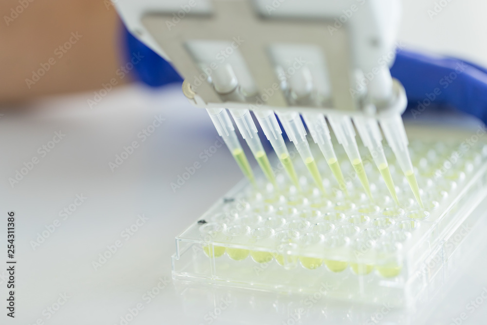 Scientist Using Multichannel pipette and multiwell eppendorf plate, Concept Science and Technology Scientist Using Multichannel pipette and multiwell eppendorf plate, Concept Science and Technology