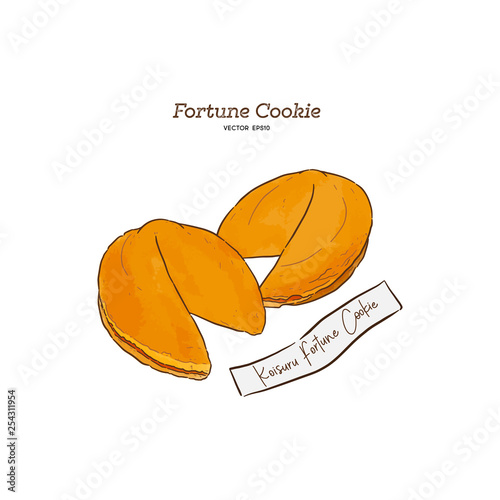 Fortune cookies, Hand-drawn vector illustration .