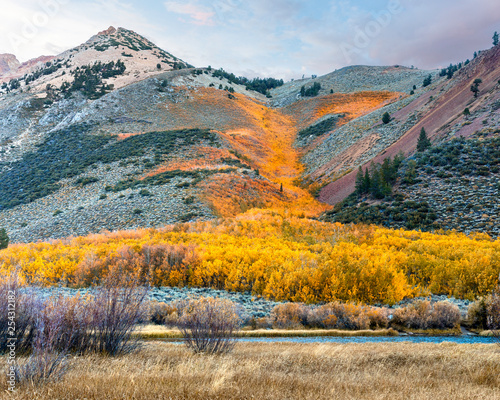 Fotografie Fall Trees and Mountains in Eastern Sierra Nevada, California, USA