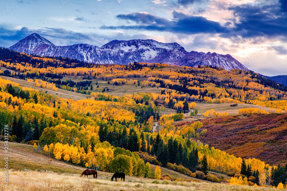 Horses grazing in Colorado in autumn
