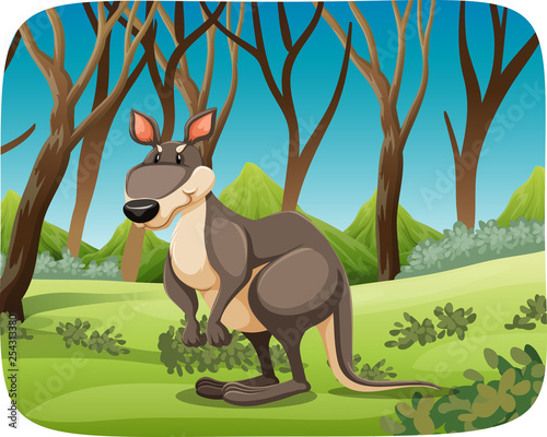 A kangaroo in nature background