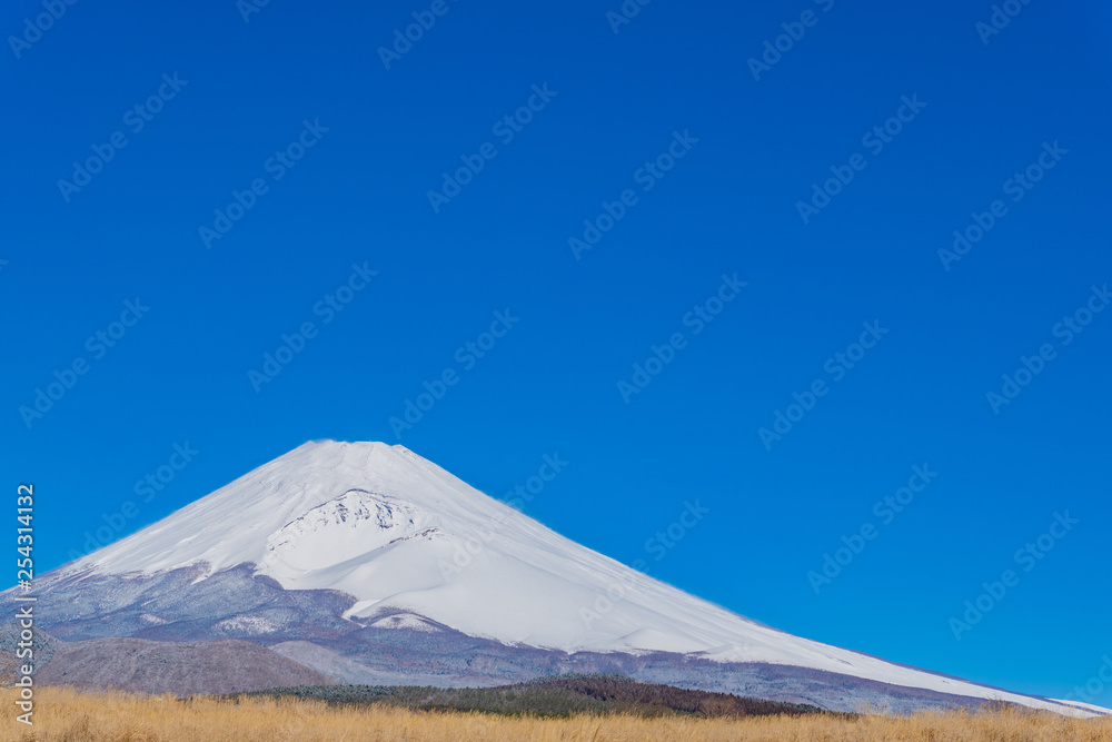 初春の富士山