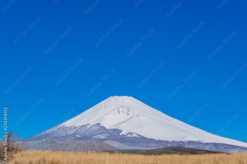 初春(3月)の富士山