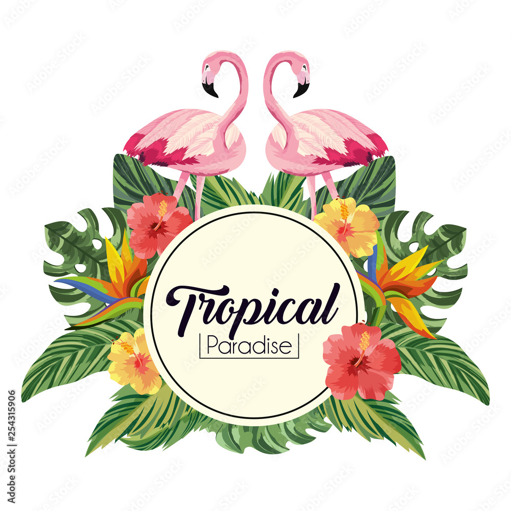 Fototapeta label with flamingos animals and flowers with leaves