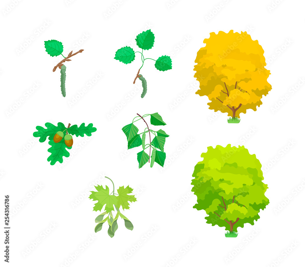 Eco leaves of trees: oak, maple, aspen, birch, shrubs. Eco leaves of trees: oak, maple, aspen, birch, shrubs.
