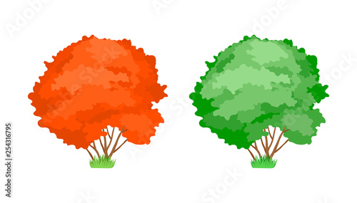 Cartoon colorful trees. Cute woody plants, green, yellow maple trees.
