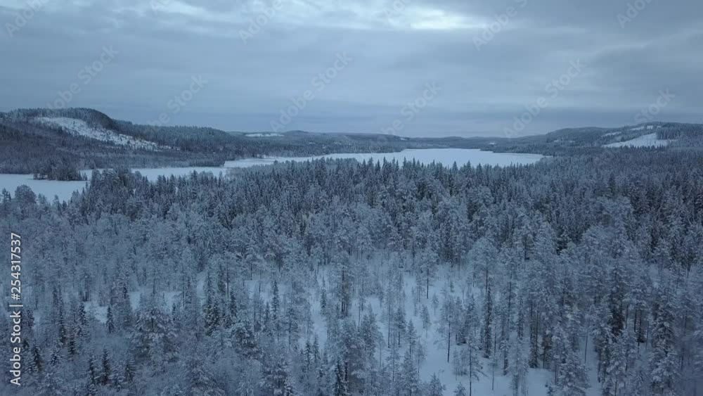 The frozen lake and forest near Borgvattnet, Sweden. Filmed with a drone during the day. The frozen lake and forest near Borgvattnet, Sweden. Filmed with a drone during the day.