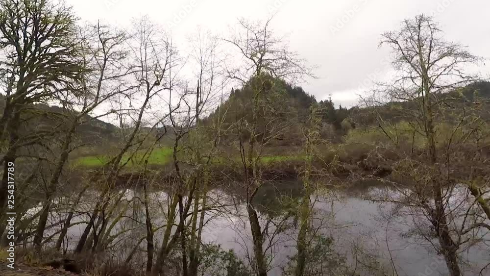 Driving next to a beautiful river with moss covered trees, a field and tree covered hills reflecting in the river and in the background. Driving next to a beautiful river with moss covered trees, a field and tree covered hills reflecting in the river and in the background.