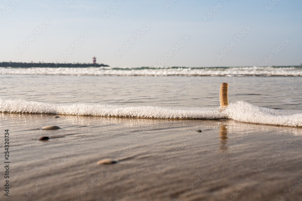 foam on the beach