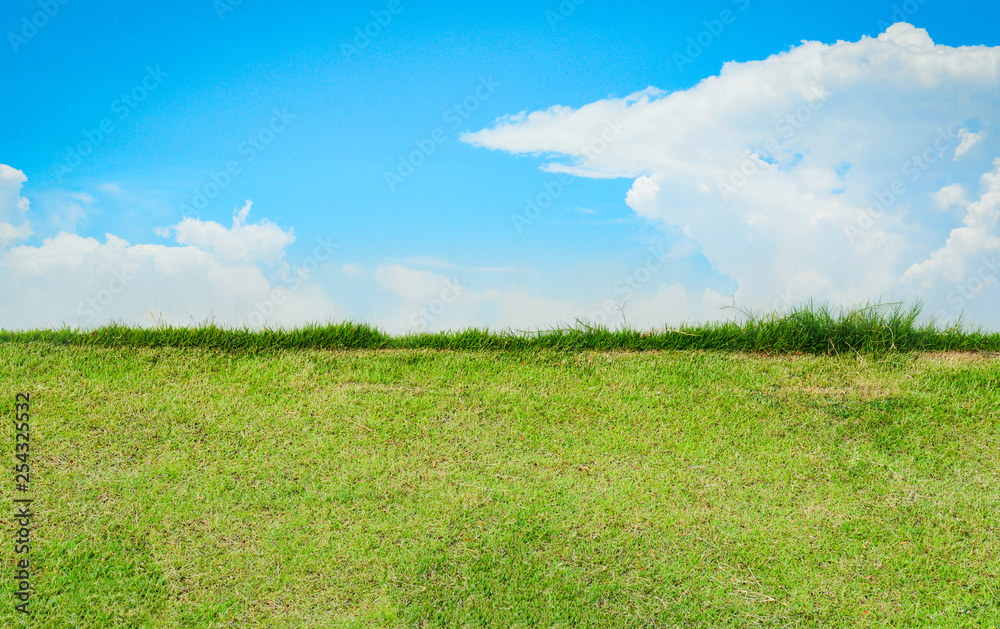 green grass with blue sky background