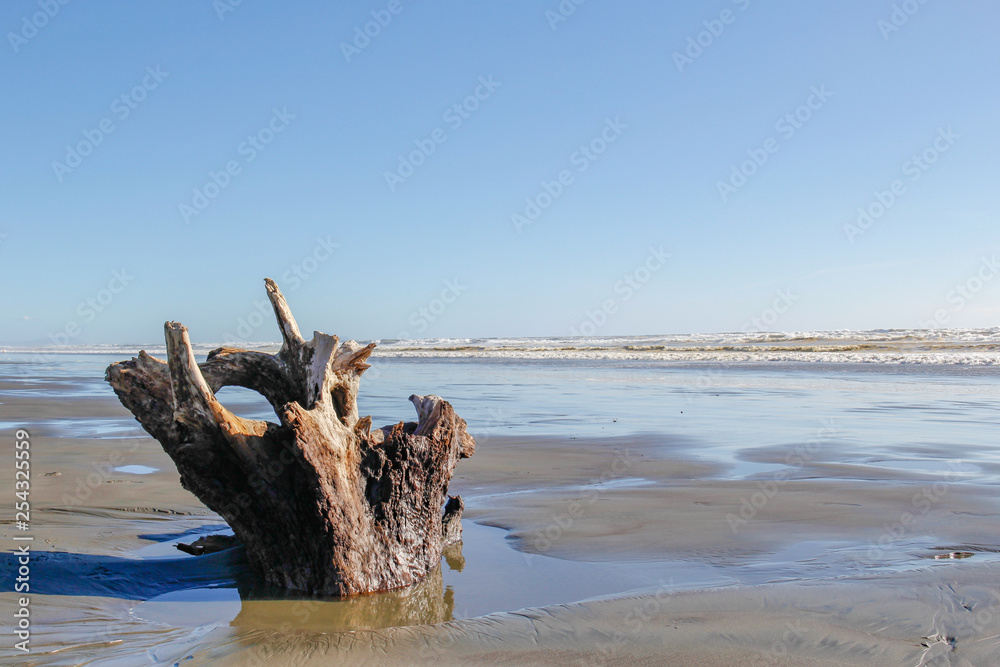 drift wood partially submerged in the beach sand at low tide