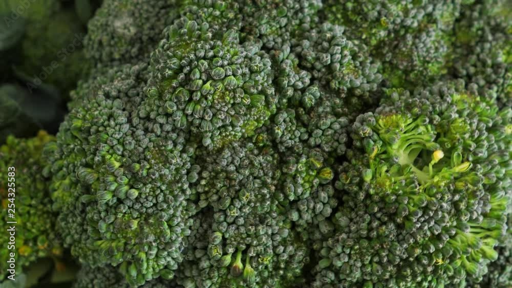 Fresh green broccoli rotate Fresh green broccoli rotate