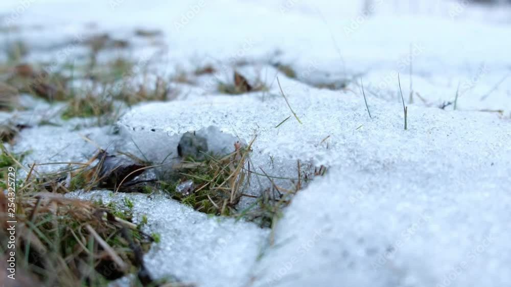 Spring footage of snow melting!