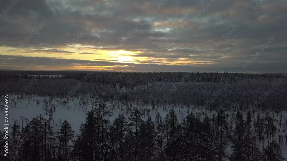 The frozen forest near Kuusamo in Lapland, Finland. Aerial shots during a mid winter day.
