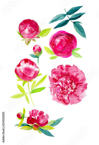 Fototapeta Naklejka Na Ścianę i Meble -  Set of abstract red peony flowers with leaves. Watercolor illustration isolated on white background