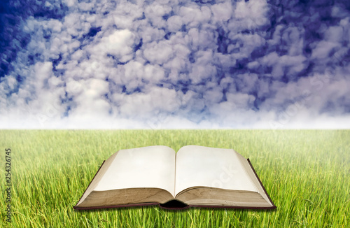 Blank book on rice field with blue sky
