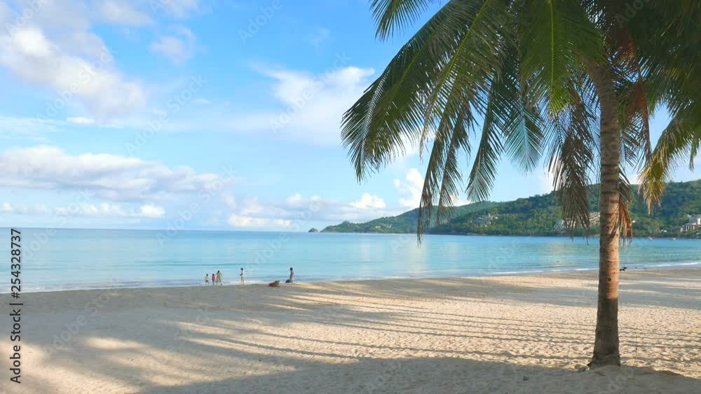 Steady shot of Palm tree standing in a beautiful tropical beach with people far away, ocean and blue sky background. Steady shot of Palm tree standing in a beautiful tropical beach with people far away, ocean and blue sky background.