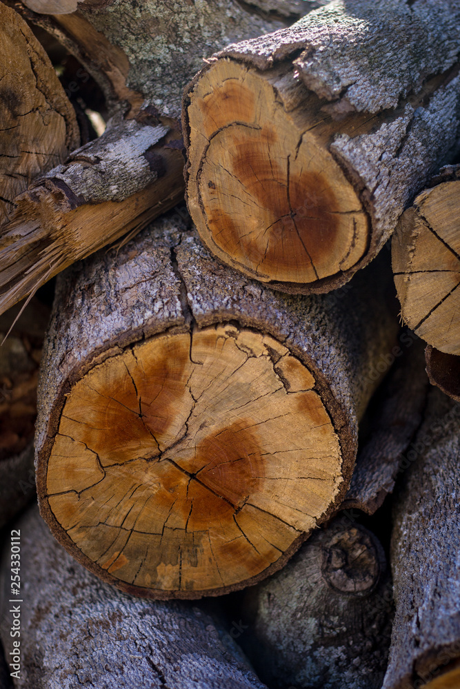 Naklejka premium madeira