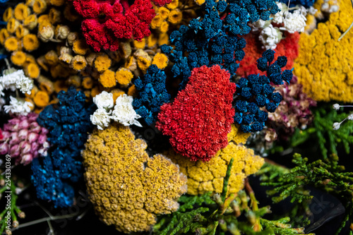 Colorful dried flowers ideal for wallpaper and backgrounds