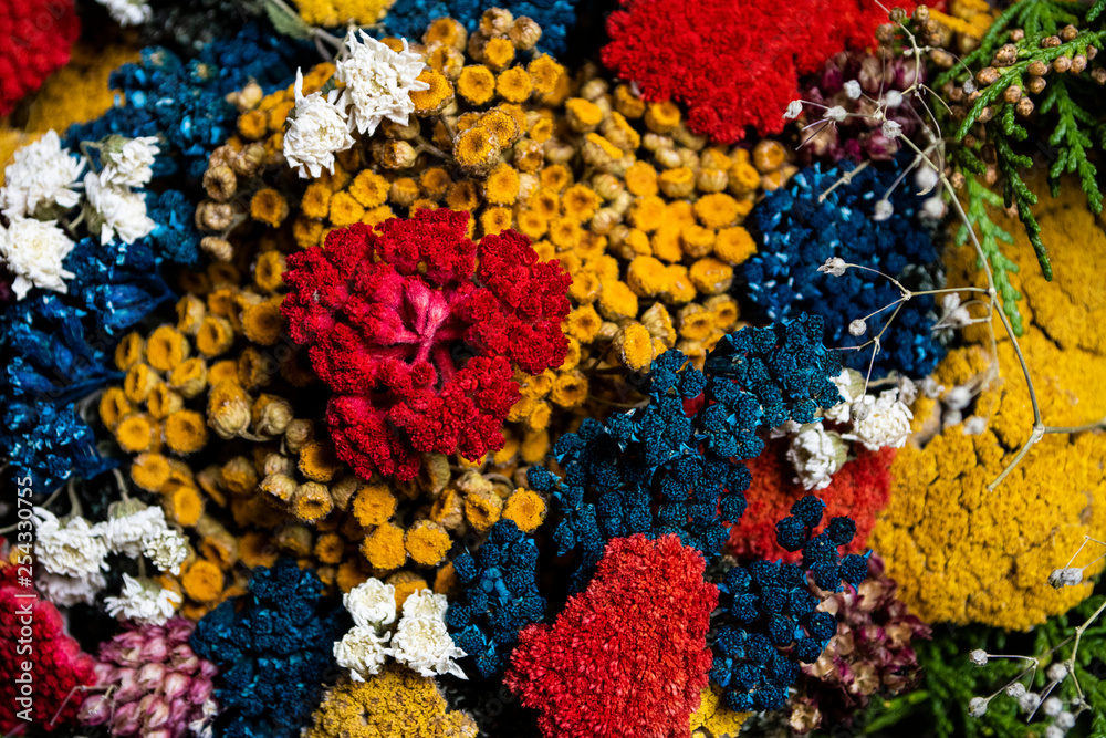 Colorful dried flowers ideal for wallpaper and backgrounds