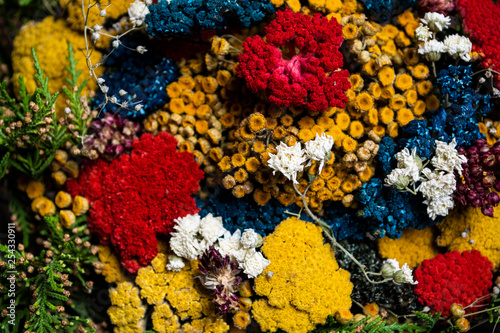 Colorful dried flowers ideal for wallpaper and backgrounds © Darko