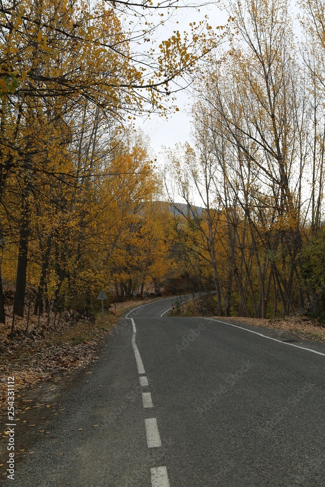Autumn forest and village photos.savsat/artvin turkey 