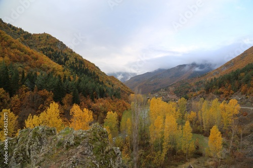 Autumn forest and village photos.savsat/artvin turkey  © murat