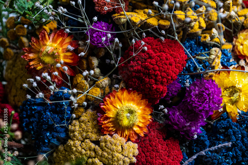 Fototapeta Naklejka Na Ścianę i Meble -  Colorful dried flowers ideal for wallpaper and backgrounds