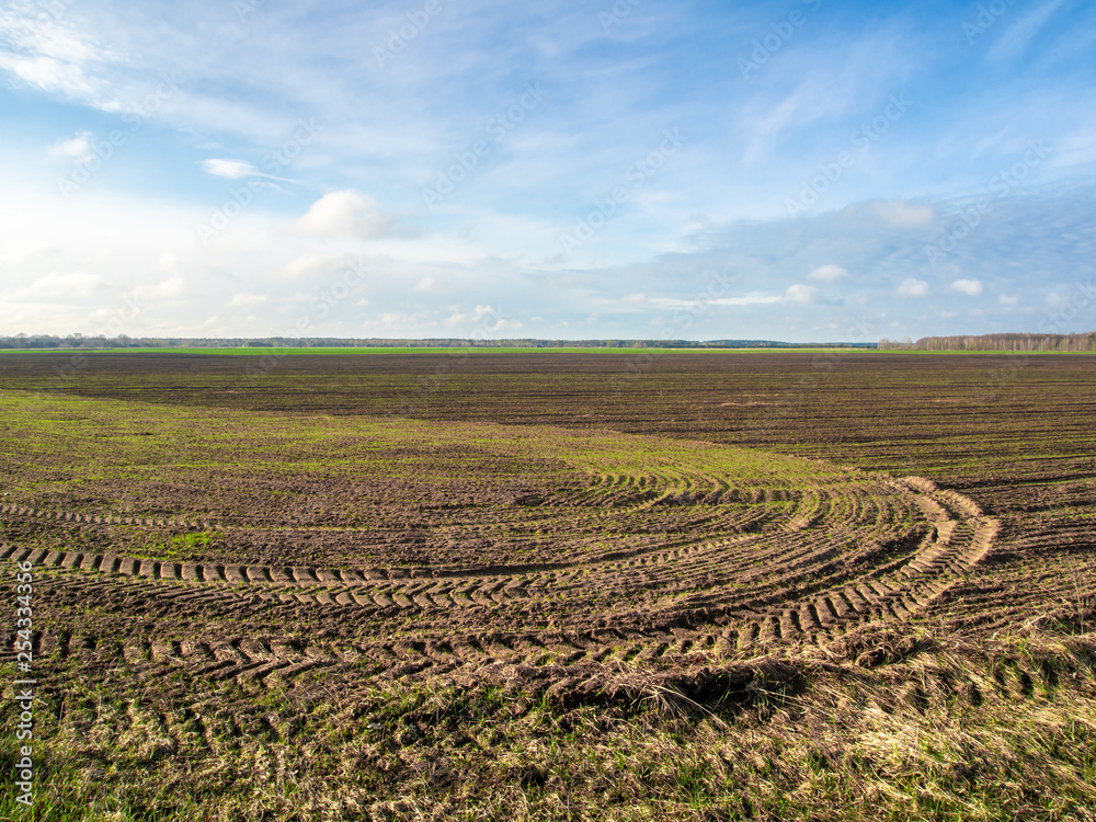 Plain field with ploughed soil covered with young green grass in spring