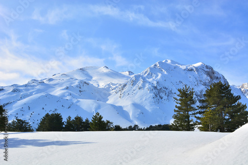  Winter Landscape