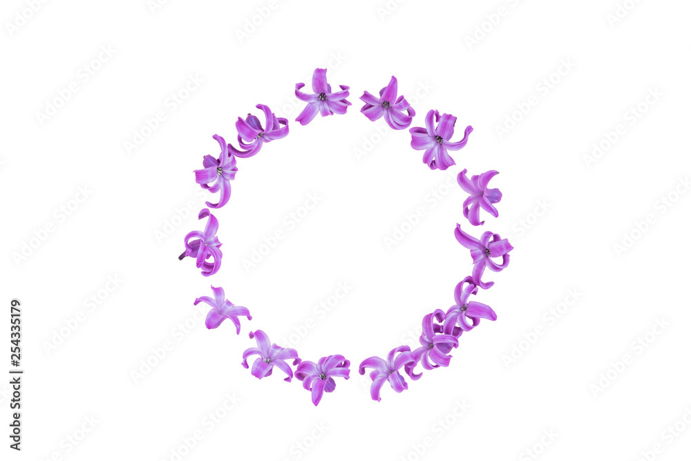 Round frame of pastel purple hyecinth flowers on gradient pink background. Floral wreath. Layout for holidays greeting of Mothers day, birthday, wedding or other happy event