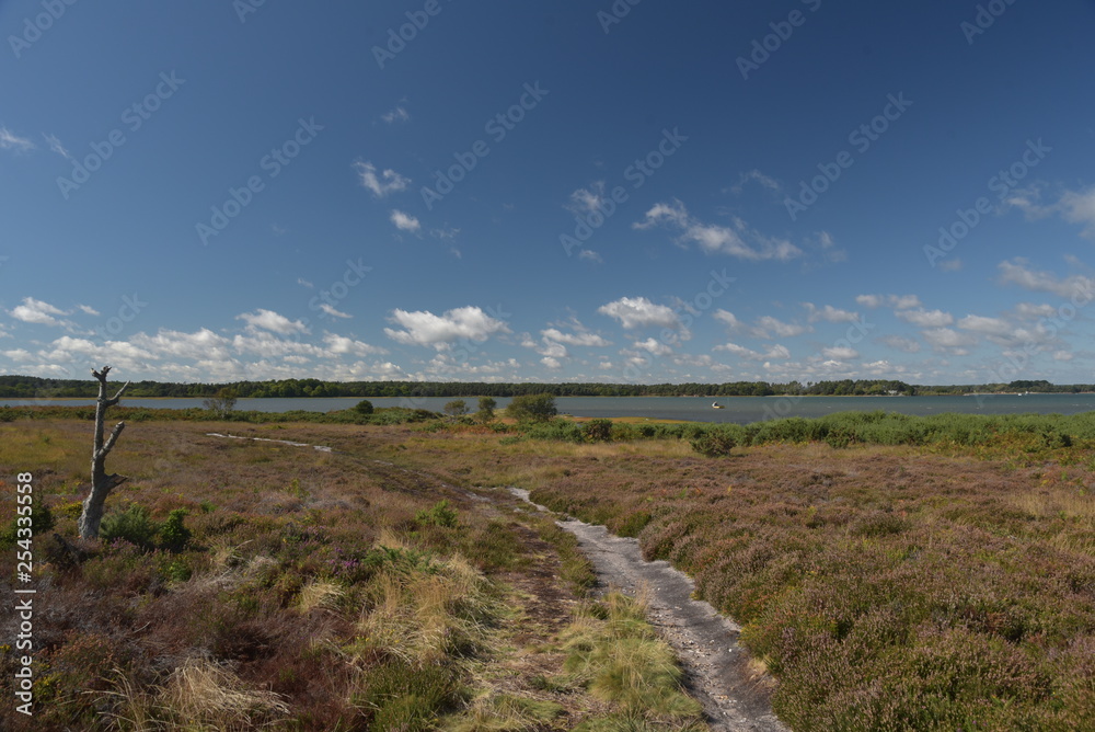 Shores of Poole harbour from Studland Heath near Swanage on Dorset Coast Shores of Poole harbour from Studland Heath near Swanage on Dorset Coast