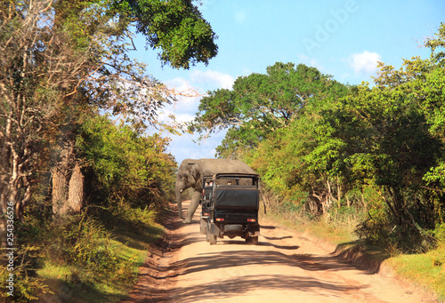 Car safari in Yala National Park, Sri Lanka photo