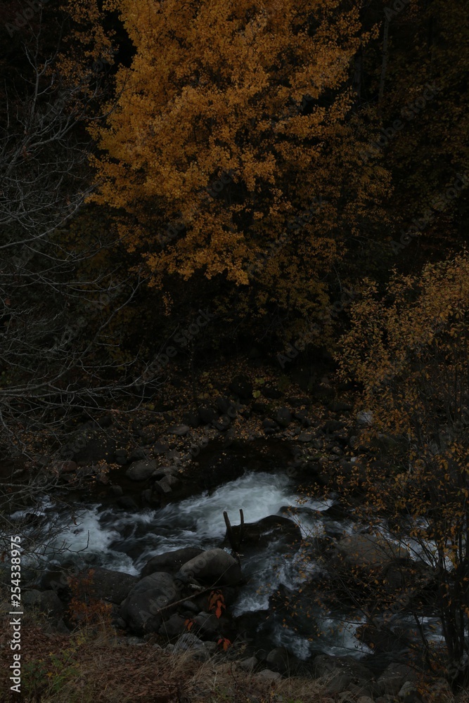 Autumn forest and village photos.savsat/artvin turkey 