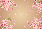 Cherry blossom sakura on gold background