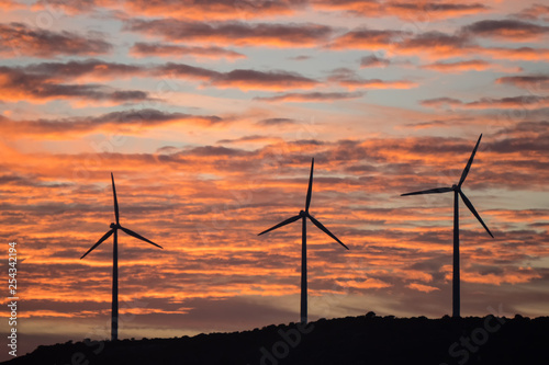 atardecer aerogeneradores