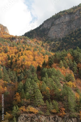 Autumn forest and village photos.savsat/artvin turkey  © murat