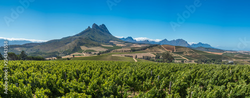 Beautiful landscape of Cape Winelands, wine growing region in South Africa