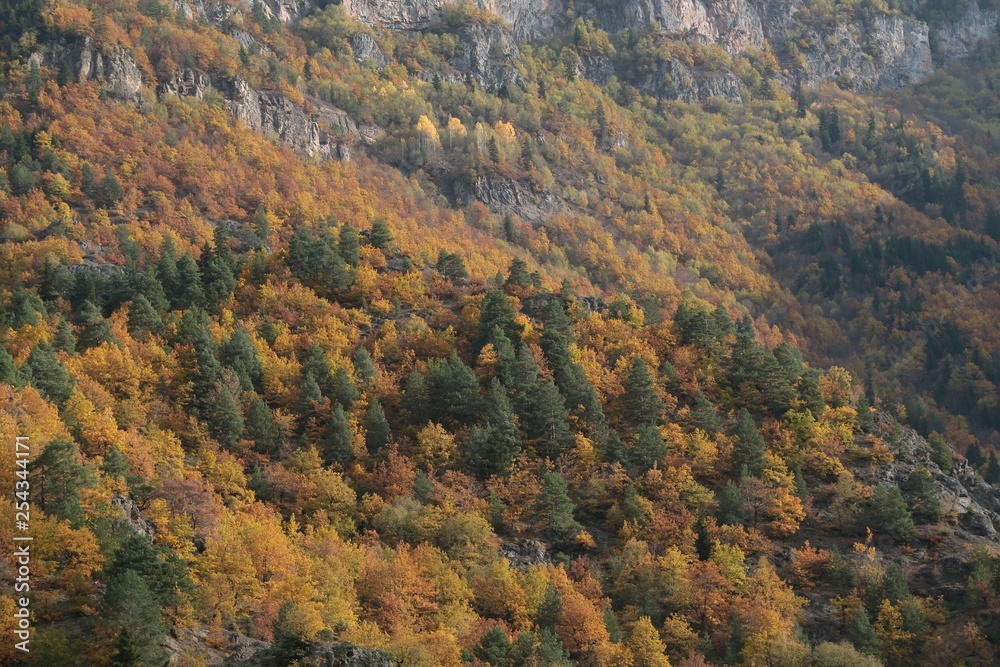 Autumn forest and village photos.savsat/artvin turkey 