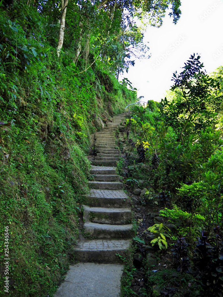 Fototapeta premium rice terraces, Banaue, Batad, Bangaan, Philippines