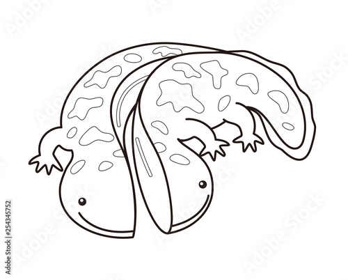 オオサンショウウオ ハンザキ Giant Salamander ぬりえ Stock イラスト Adobe Stock オオサンショウウオ ハンザキ Giant Salamander ぬりえ Stock イラスト Adobe Stock
