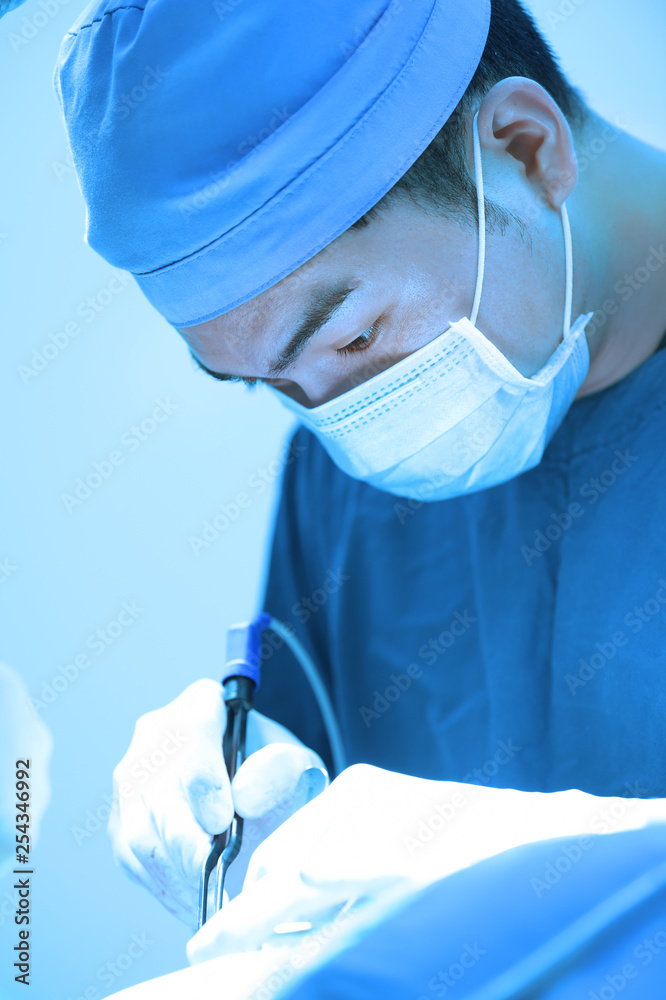 Fototapeta premium veterinarian surgery in operation room take with art lighting and blue filter