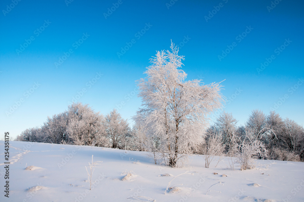 frosty day on the top of the mountain