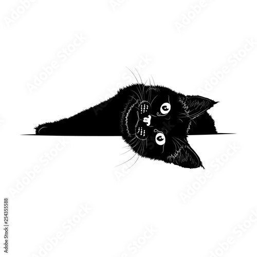 Vector illustration. Black silhouette of a recumbent cat.EPS 8