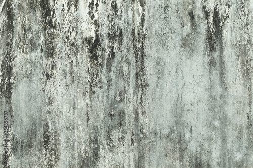 Old grey wall, grunge concrete background with natural cement texture. © HolyLazyCrazy