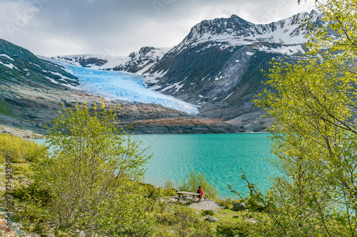 North Fjord with Svartisen ...
