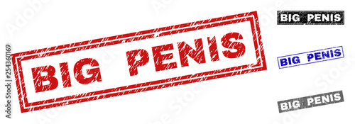 Grunge BIG PENIS rectangle stamp seals isolated on a white background. Rectangular seals with grunge texture in red, blue, black and grey colors.