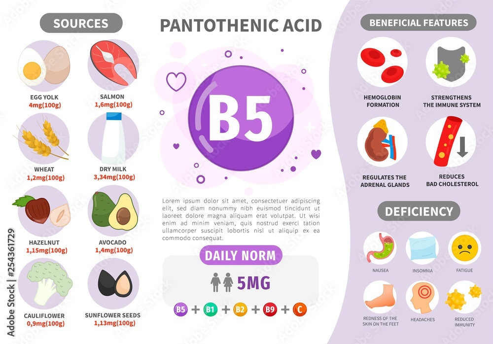 Infographics Vitamin B5. Products containing vitamin. Daily norm. Symptoms of deficiency. Vector medical poster. 